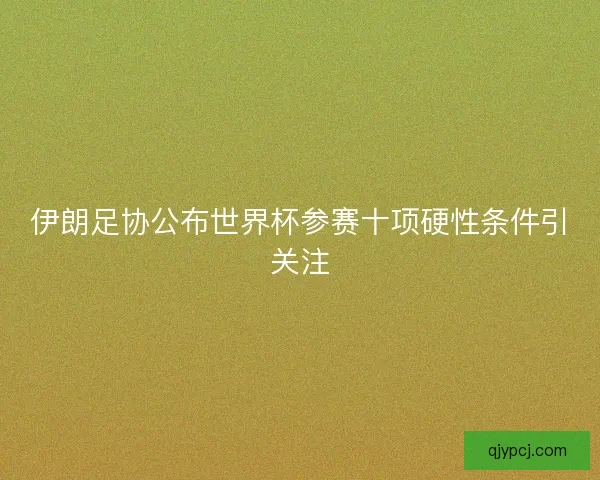 伊朗足协公布世界杯参赛十项硬性条件引关注